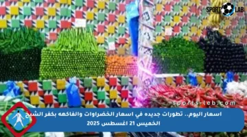 أسعار اليوم.. تطورات جديدة في أسعار الخضراوات والفاكهة بكفر الشيخ الخميس 21 أغسطس 2025